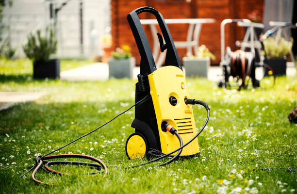 Animal Enclosure Cleaning in Williston Park, NY
